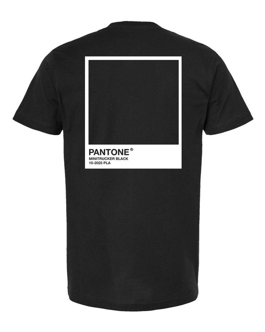 Pantone of the Year